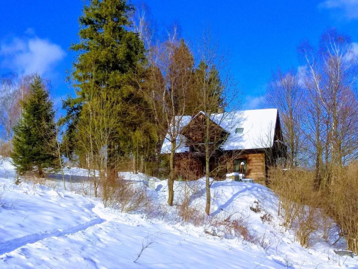 Вилла Wideta Смерек Экстерьер фото